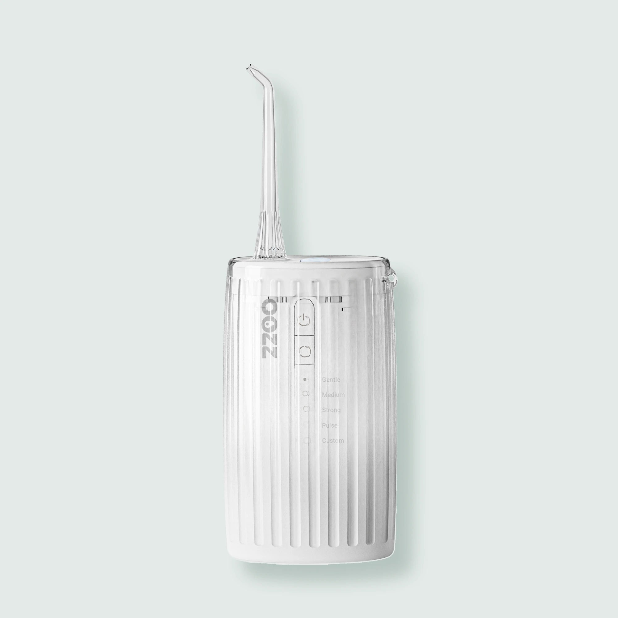 EasyClean Travel Water Flosser