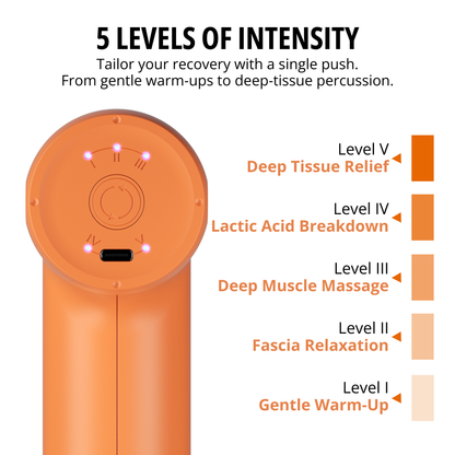 Handheld Portable Massage Gun