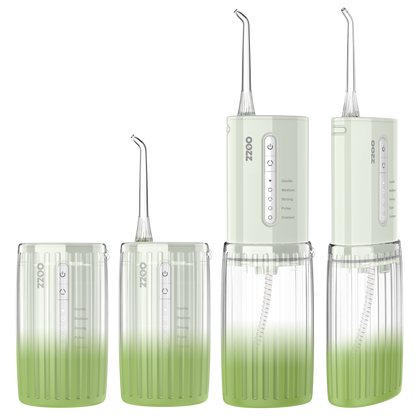 Travel Water Flosser